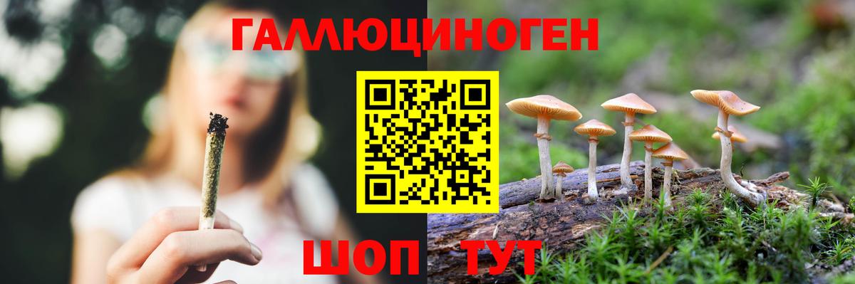 Галлюциногенные грибы GOLDEN TEACHER Десногорск
